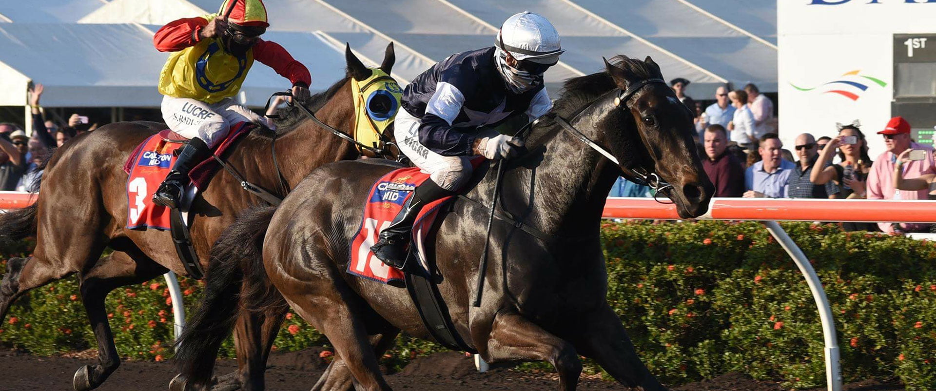 About-Michael-Hickmott-Bloodstock