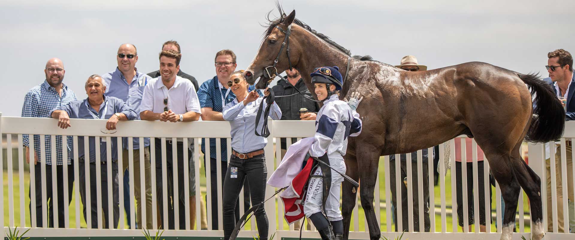 Michael-Hickmott-Bloodstock-Horse-Ownership